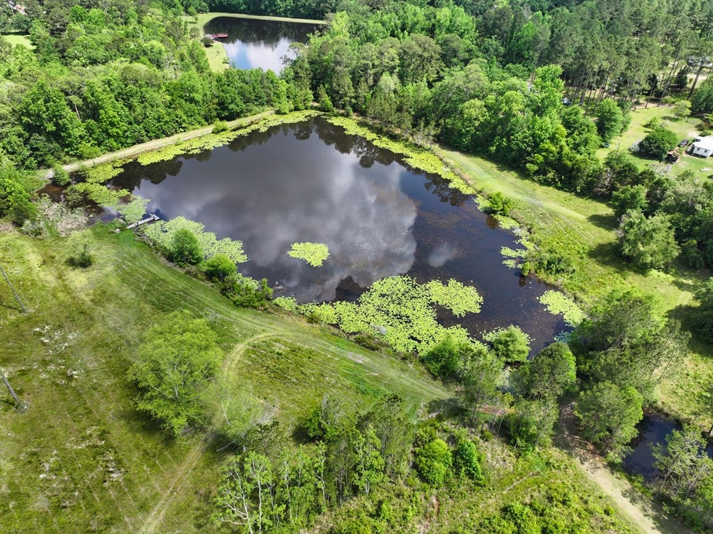 320 Robert Willis Road Cairo, GA 39827 - Photo 18 of 31 Gallery Image 18