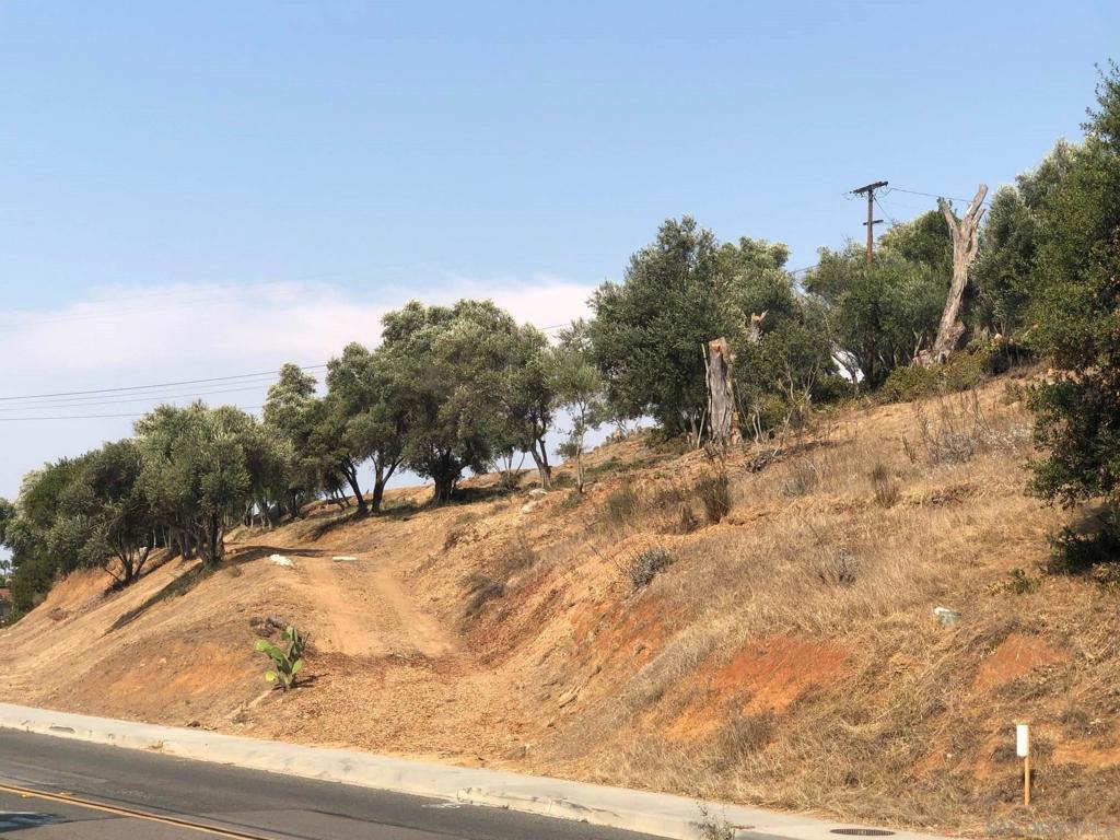 Alvarado Street Fallbrook, CA 92028 - Photo 2 of 5 a view of a covered with snow on the road