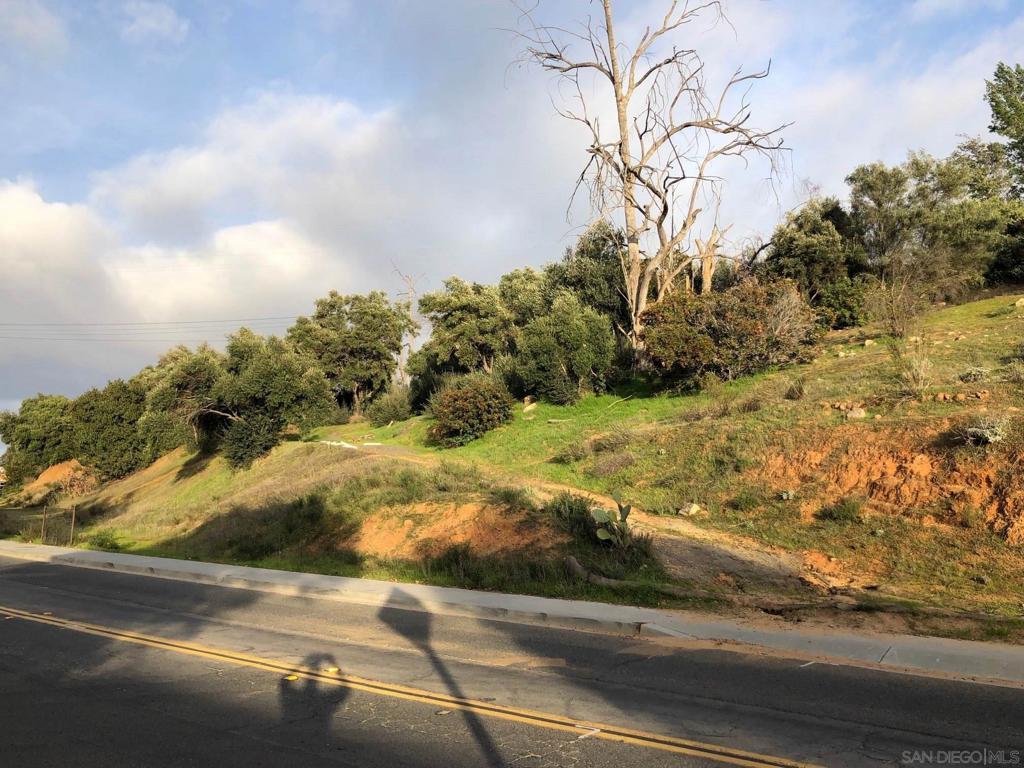 Alvarado Street Fallbrook, CA 92028 - Photo 3 of 5