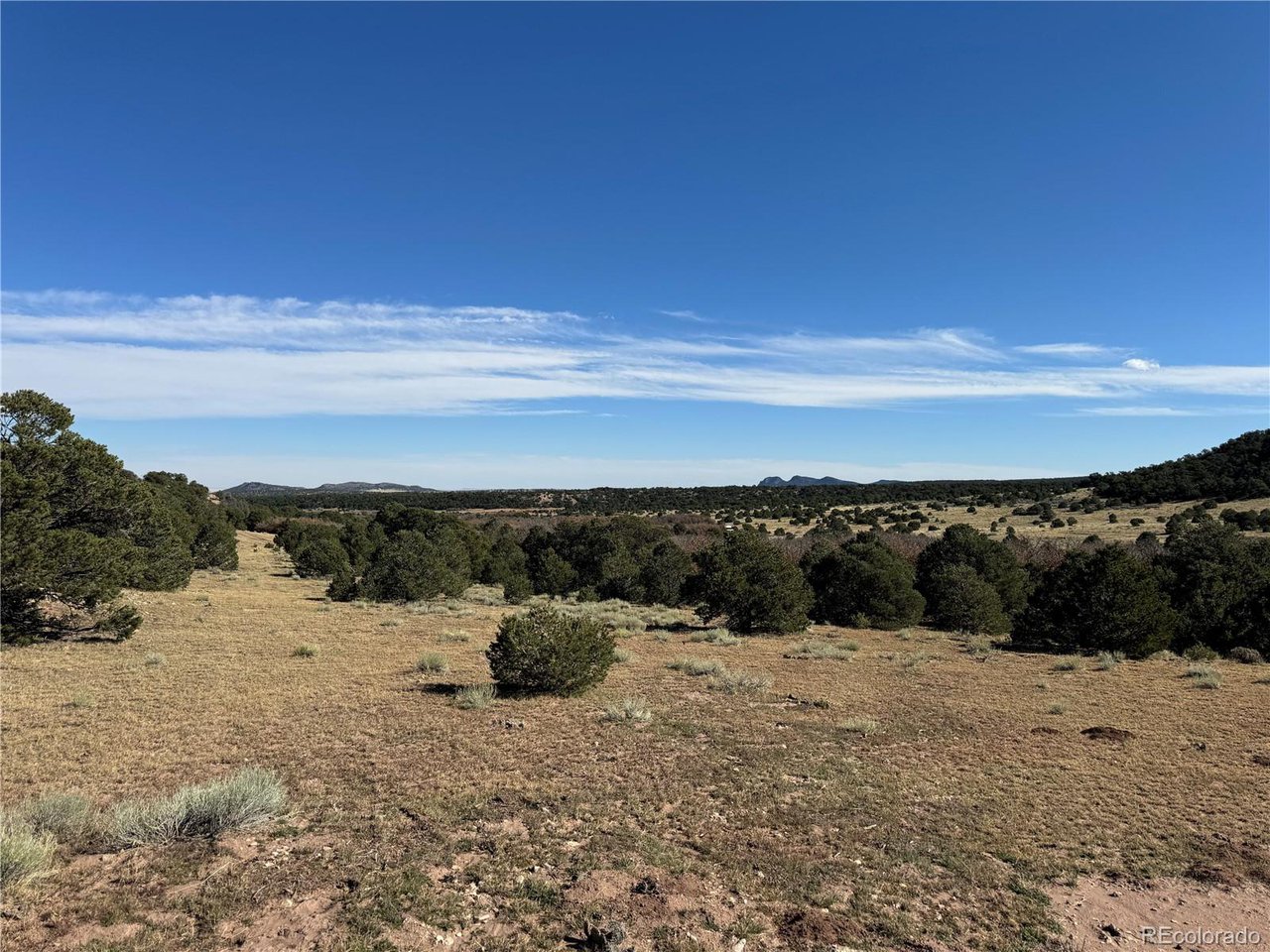 41 Co Road, Unit BB Gardner, CO 81040 - Photo 20 of 22 a view of swimming pool with mountain in background