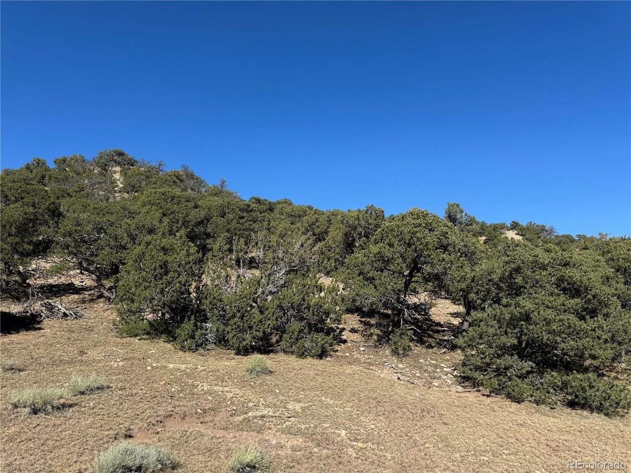 41 Co Road, Unit BB Gardner, CO 81040 - Photo 22 of 22 a view of a dry yard with mountains in the background