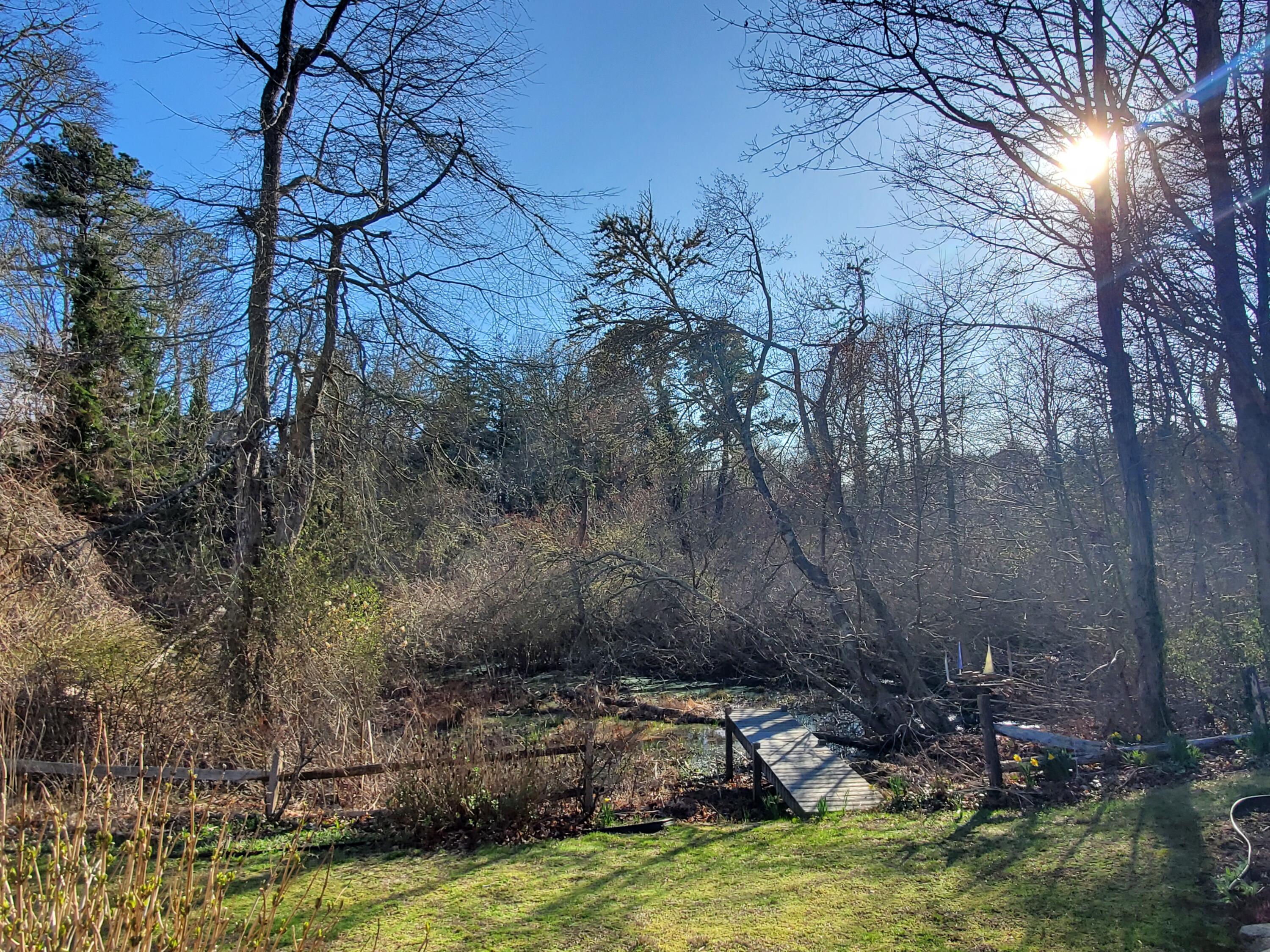 76 Tubman Road Brewster, MA 02631 - Photo 13 of 61 20250409_171104