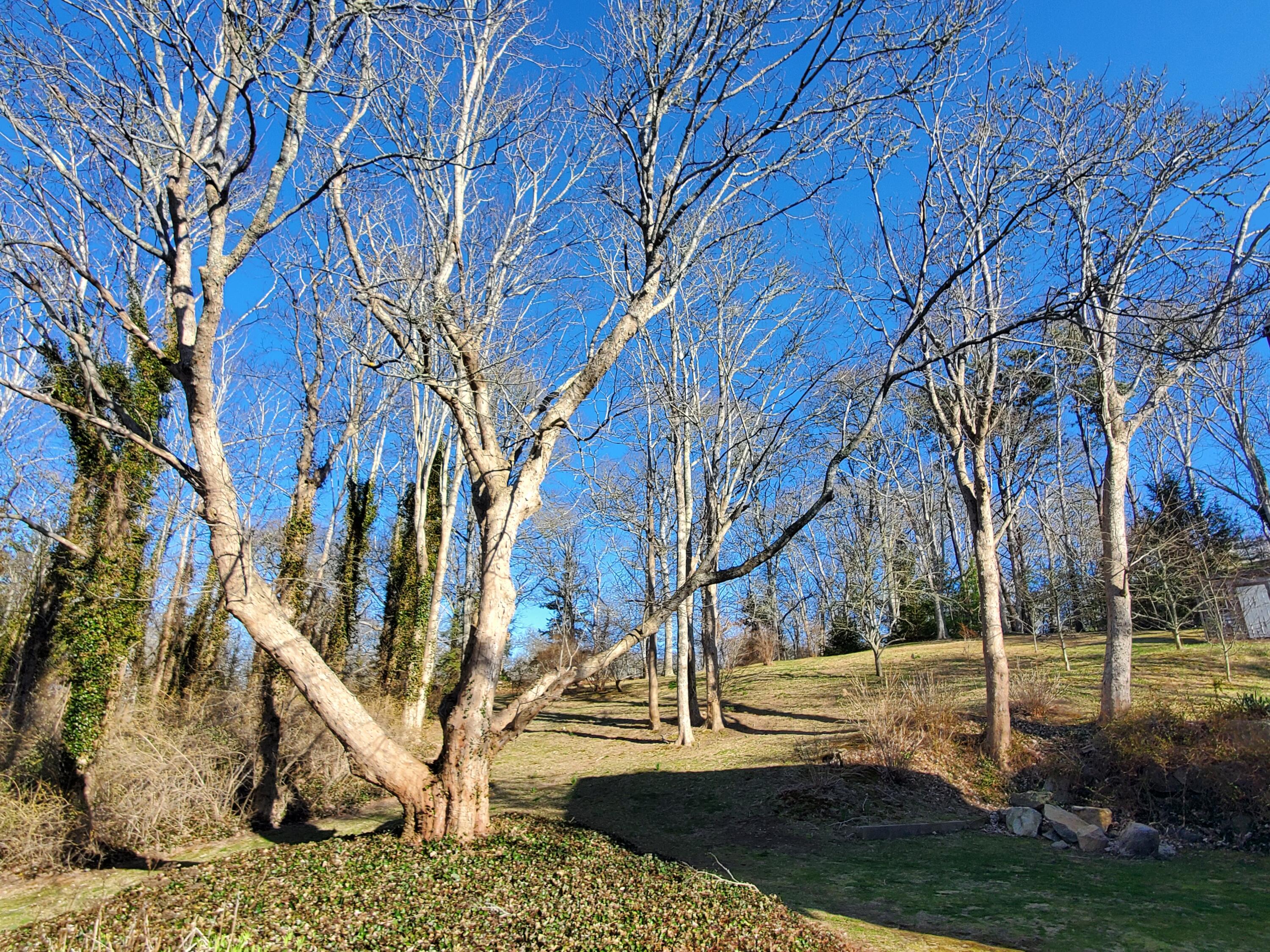 76 Tubman Road Brewster, MA 02631 - Photo 18 of 61 20250409_165230