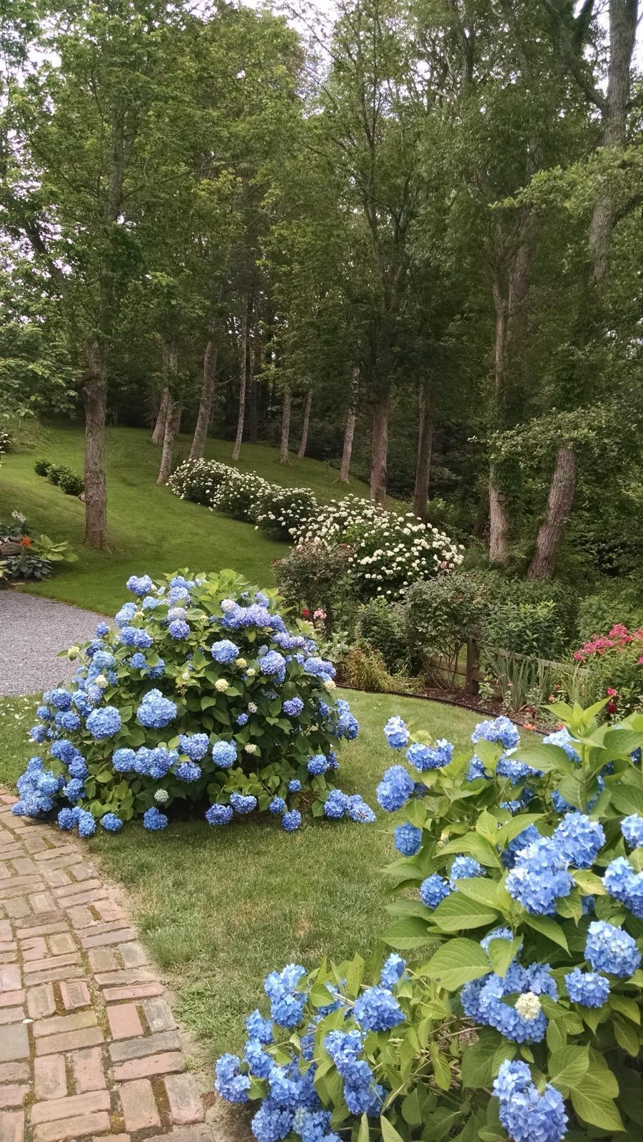 76 Tubman Road Brewster, MA 02631 - Photo 7 of 61 IMG-20250329-WA0001