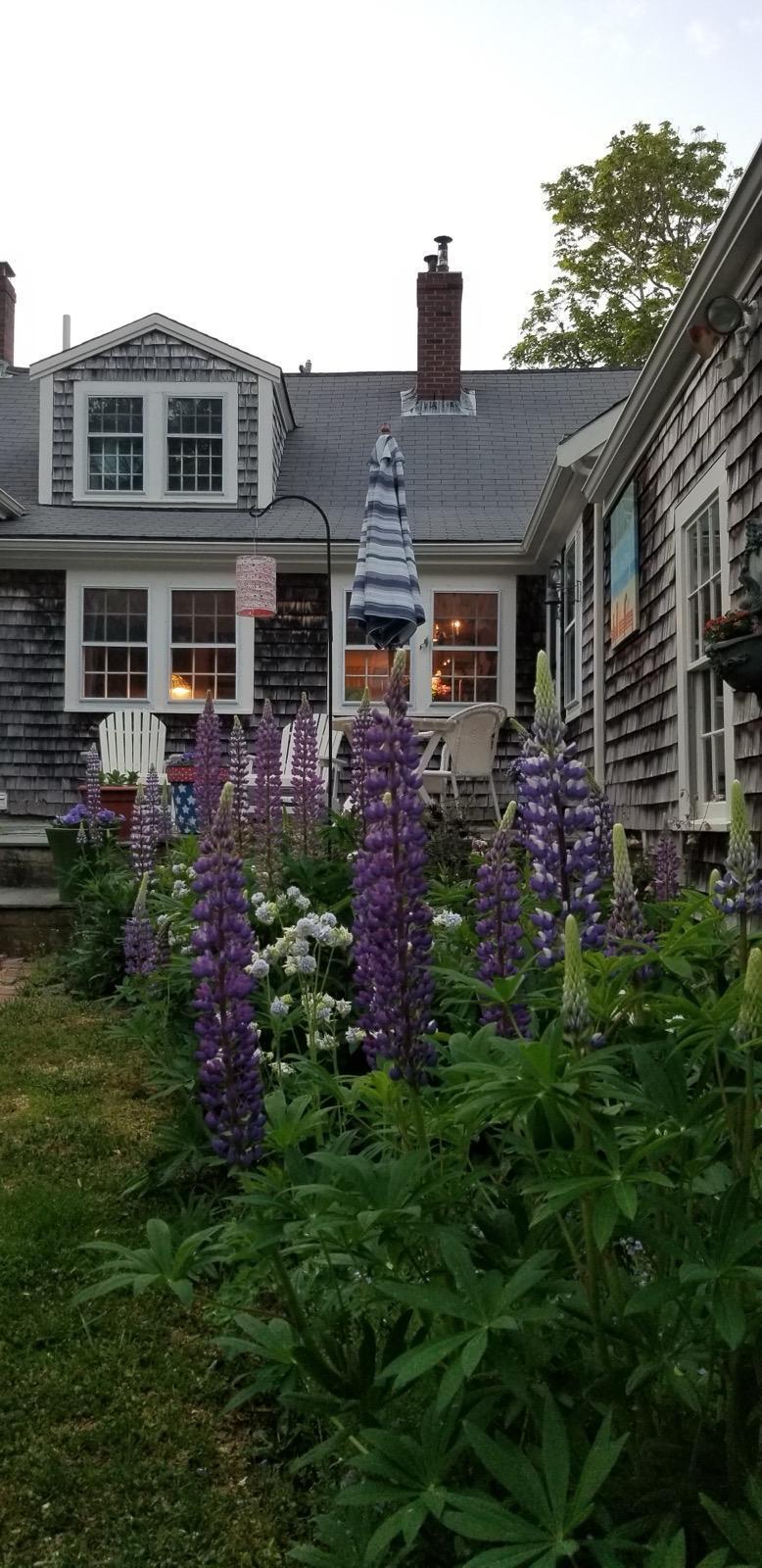 76 Tubman Road Brewster, MA 02631 - Photo 8 of 61 IMG-20250329-WA0008