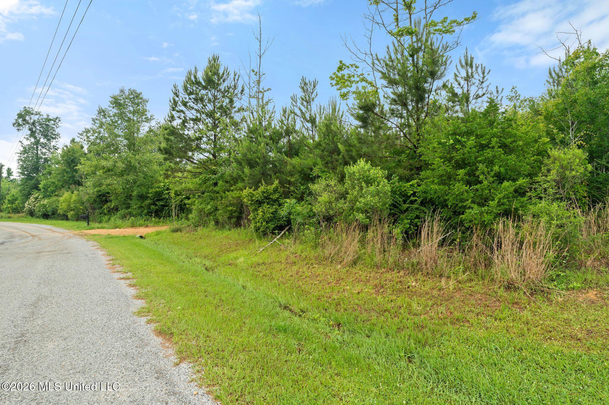 3167 Northeast Bahalia Road Wesson, MS 39191 - Photo 2 of 37 3167_Bahalia_Road_Northeast-2