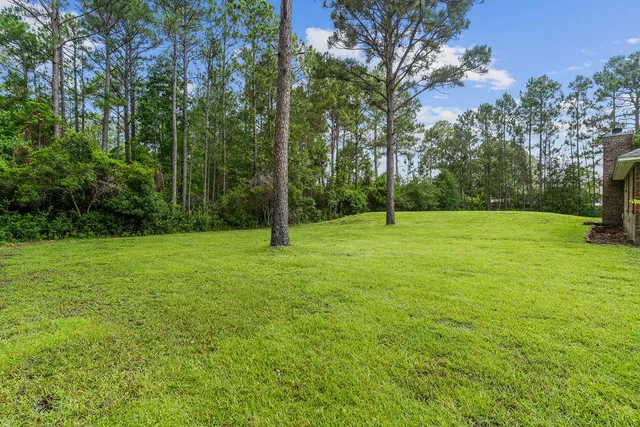 a view of outdoor space with a garden and trees