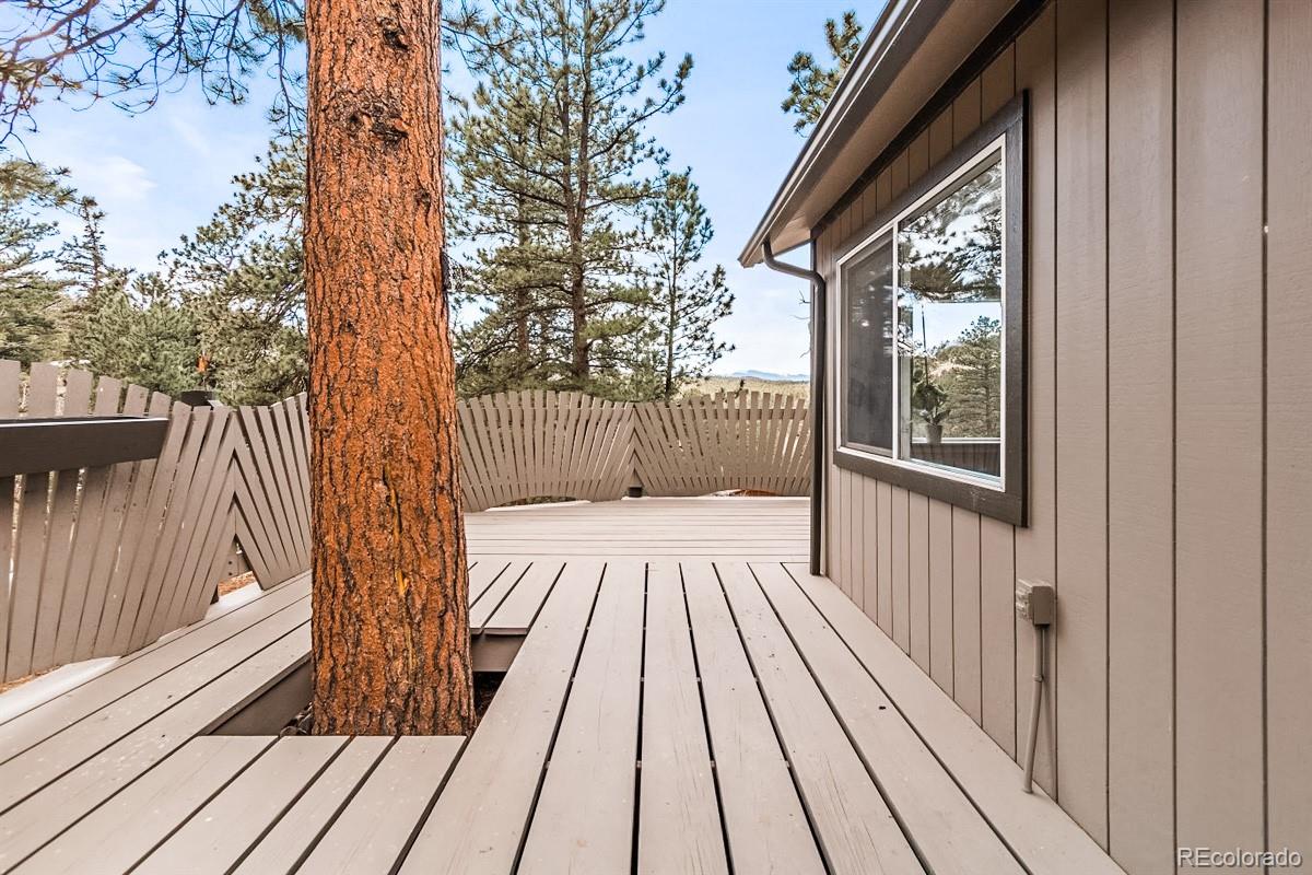 33671 Beverly Road Pine, CO 80470 - Photo 16 of 29 Gallery Image 16