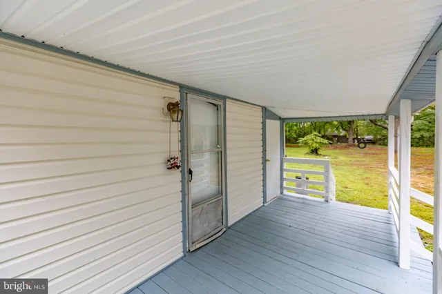 a view of a backyard with plants and large trees