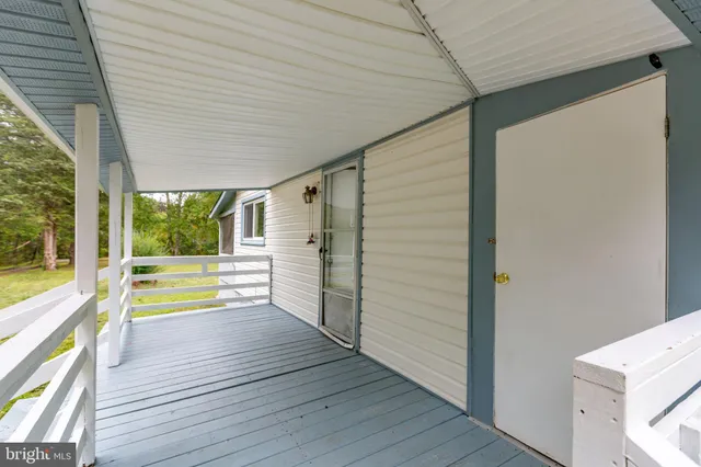 a view of a tree in the middle of a yard