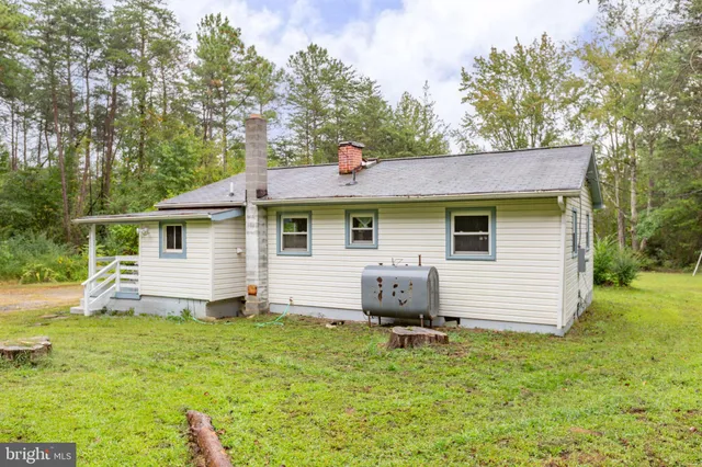 a view of a trees in a yard