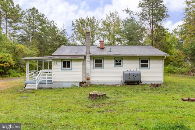 a view of a field with a tree