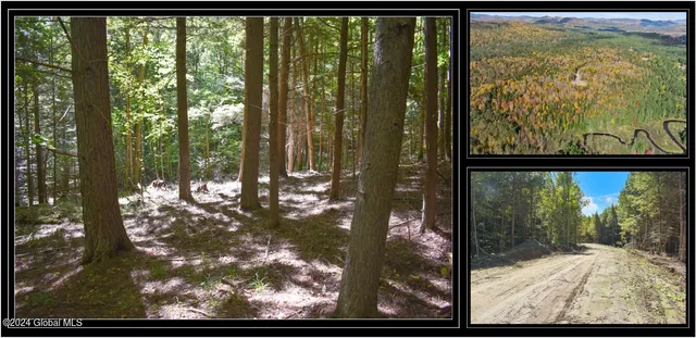 $78,900 | 106 Carriage Knoll Road, Chestertown, NY 12817