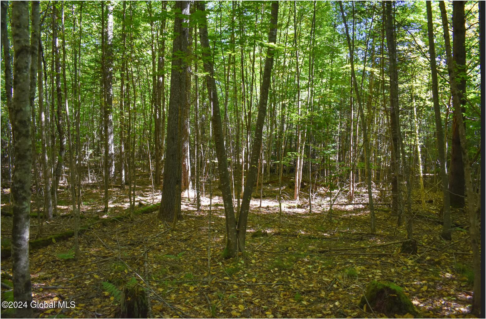 106 Carriage Knoll Road Chestertown, NY 12817 - Photo 11 of 25 106m