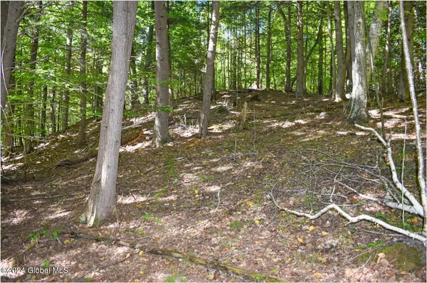 $78,900 | 106 Carriage Knoll Road, Chestertown, NY 12817