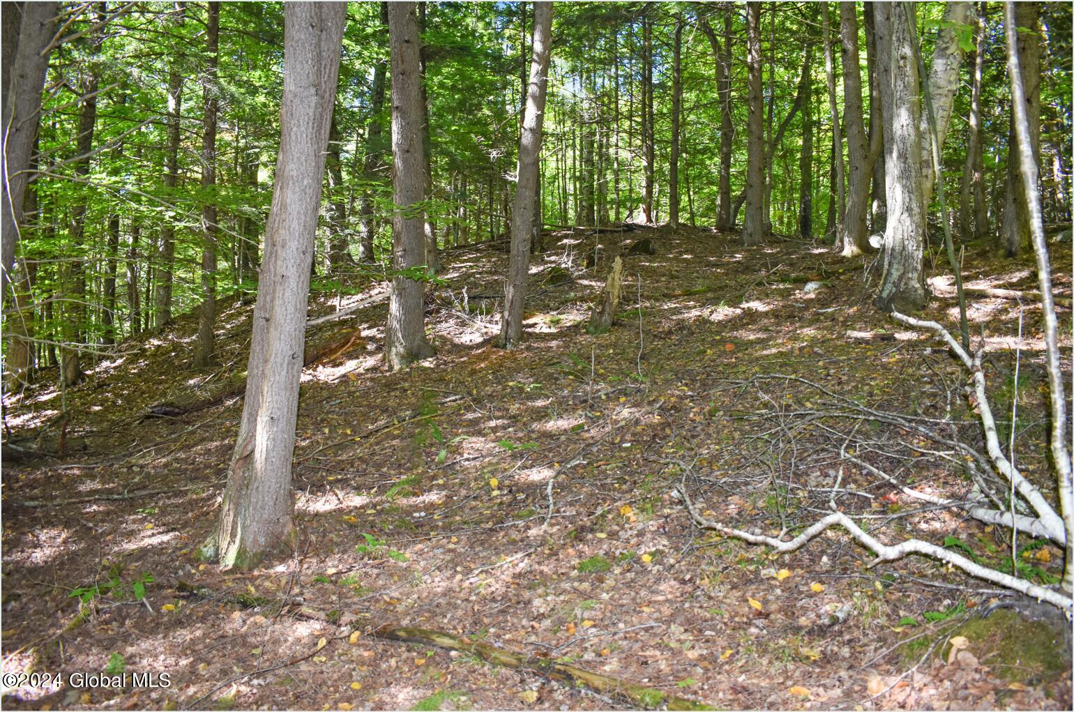 106 Carriage Knoll Road Chestertown, NY 12817 - Photo 12 of 25 106b