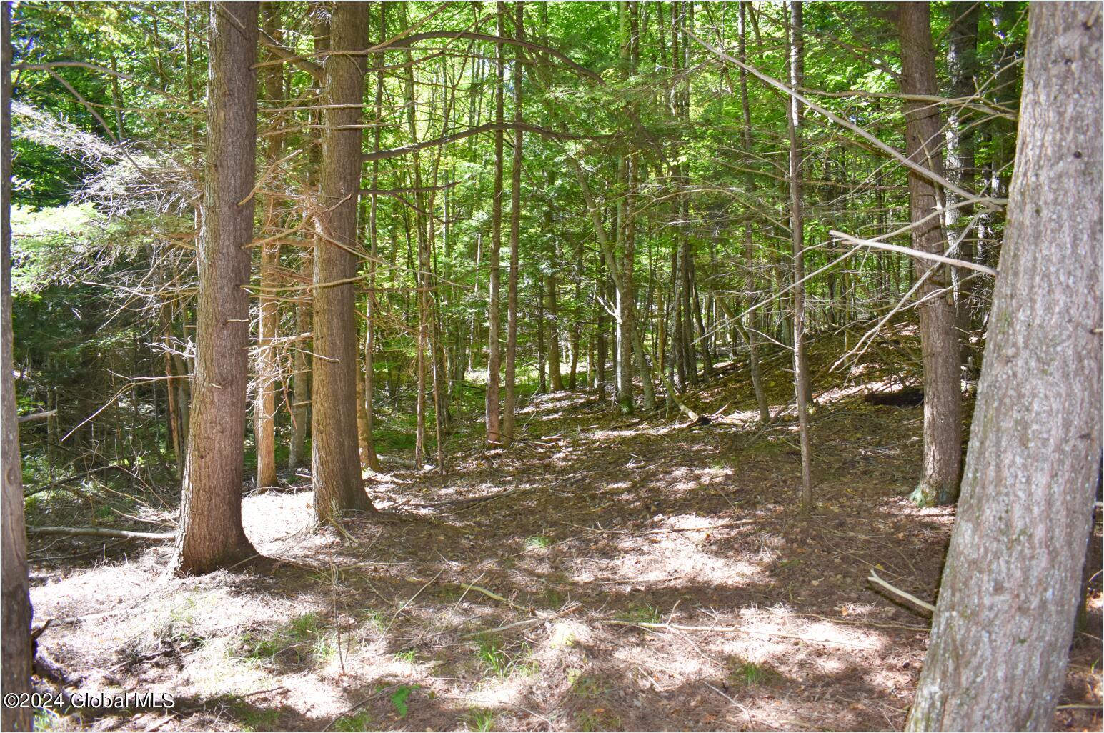 106 Carriage Knoll Road Chestertown, NY 12817 - Photo 13 of 25 106c