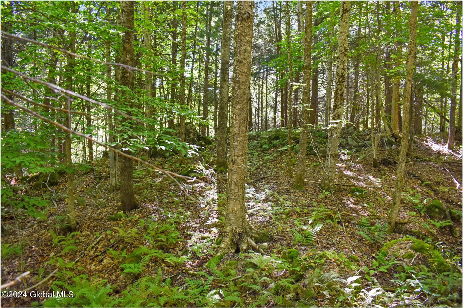 106 Carriage Knoll Road Chestertown, NY 12817 - Photo 14 of 25 106d