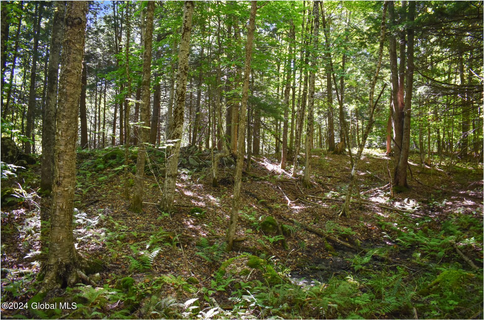 106 Carriage Knoll Road Chestertown, NY 12817 - Photo 15 of 25 106e