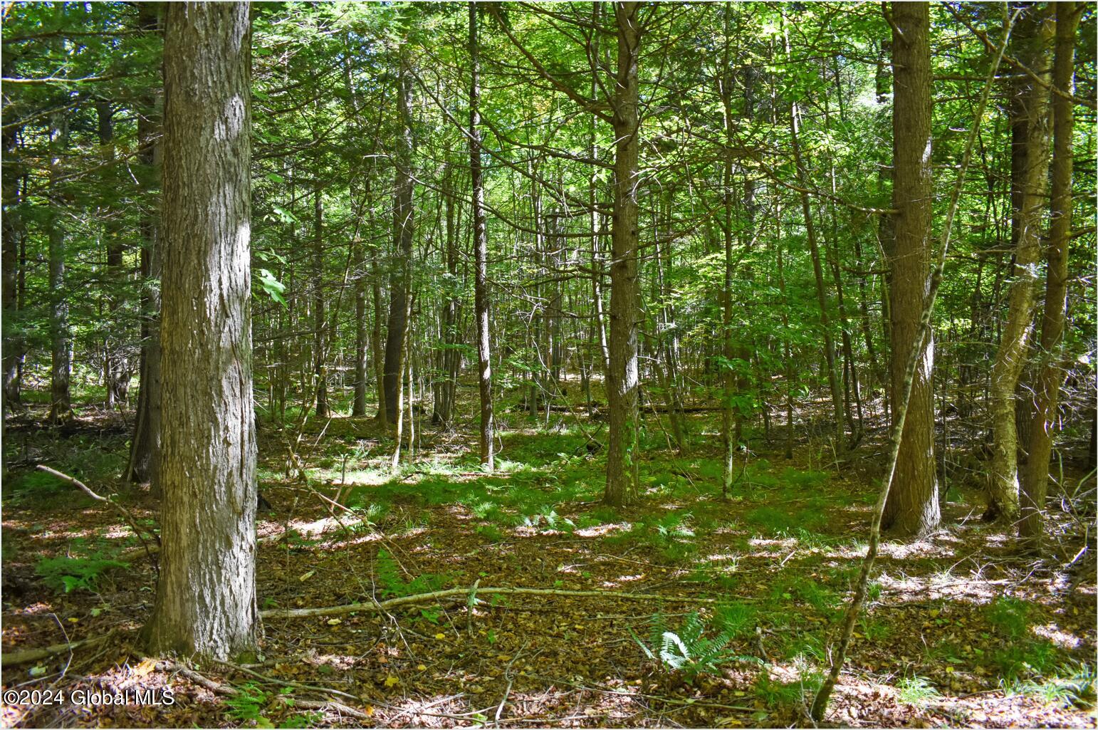 106 Carriage Knoll Road Chestertown, NY 12817 - Photo 18 of 25 106j