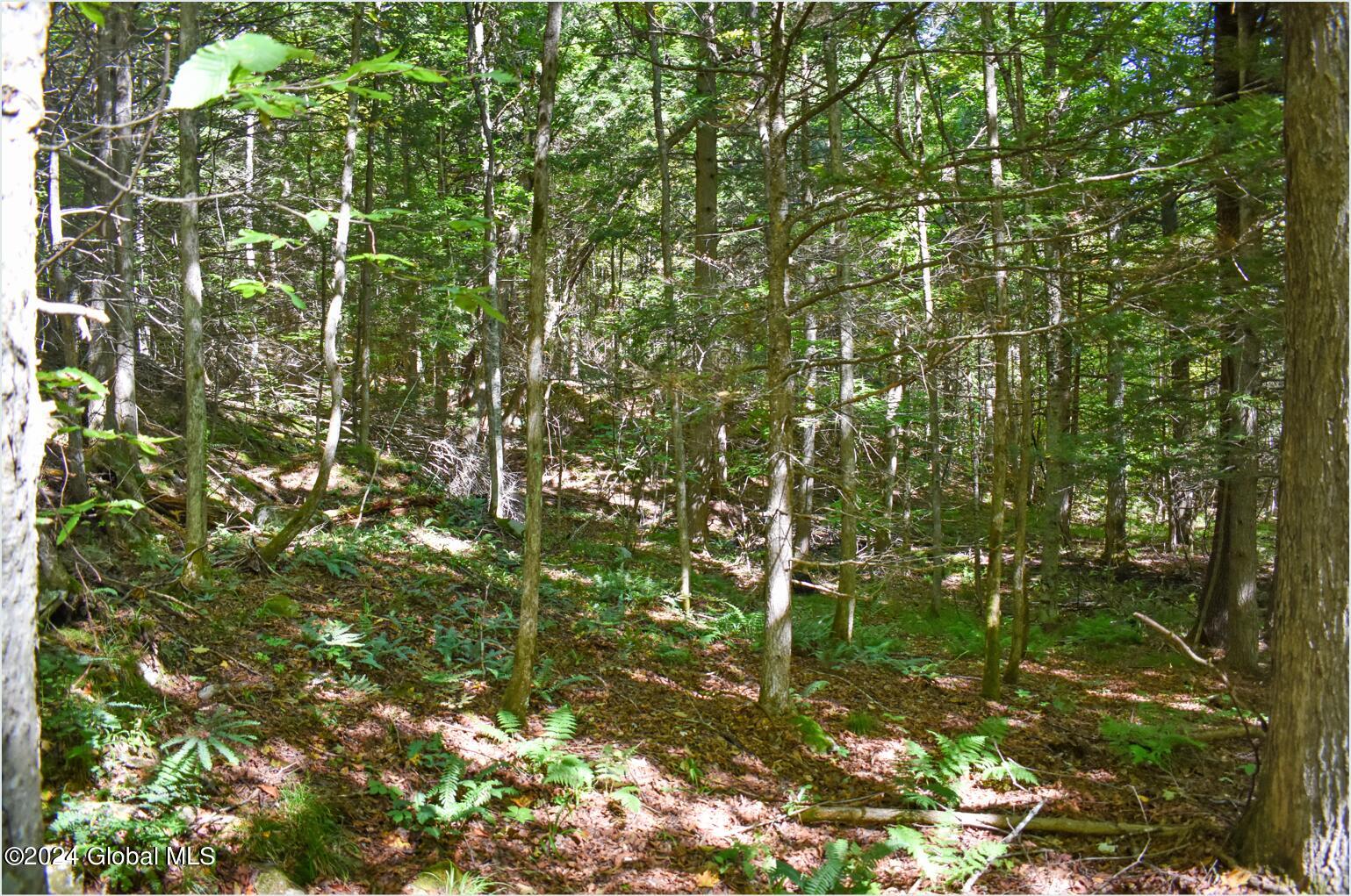 106 Carriage Knoll Road Chestertown, NY 12817 - Photo 21 of 25 106k