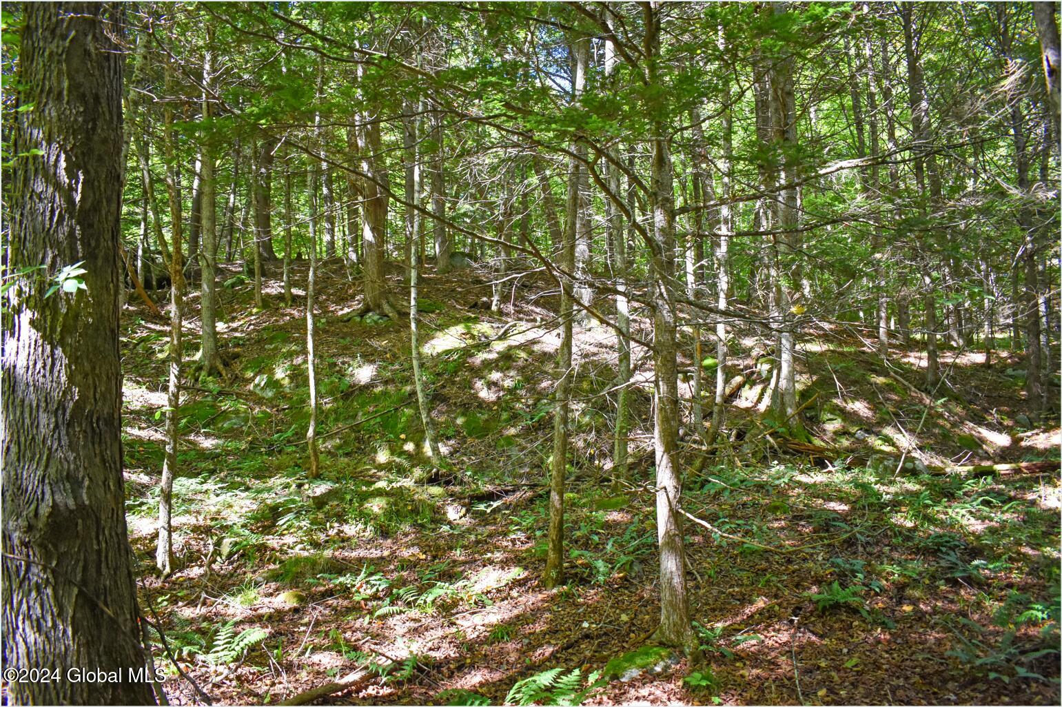 106 Carriage Knoll Road Chestertown, NY 12817 - Photo 24 of 25 106l