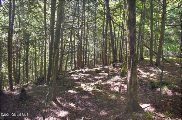 $78,900 | 106 Carriage Knoll Road, Chestertown, NY 12817