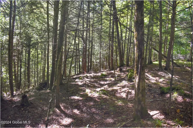 $78,900 | 106 Carriage Knoll Road, Chestertown, NY 12817