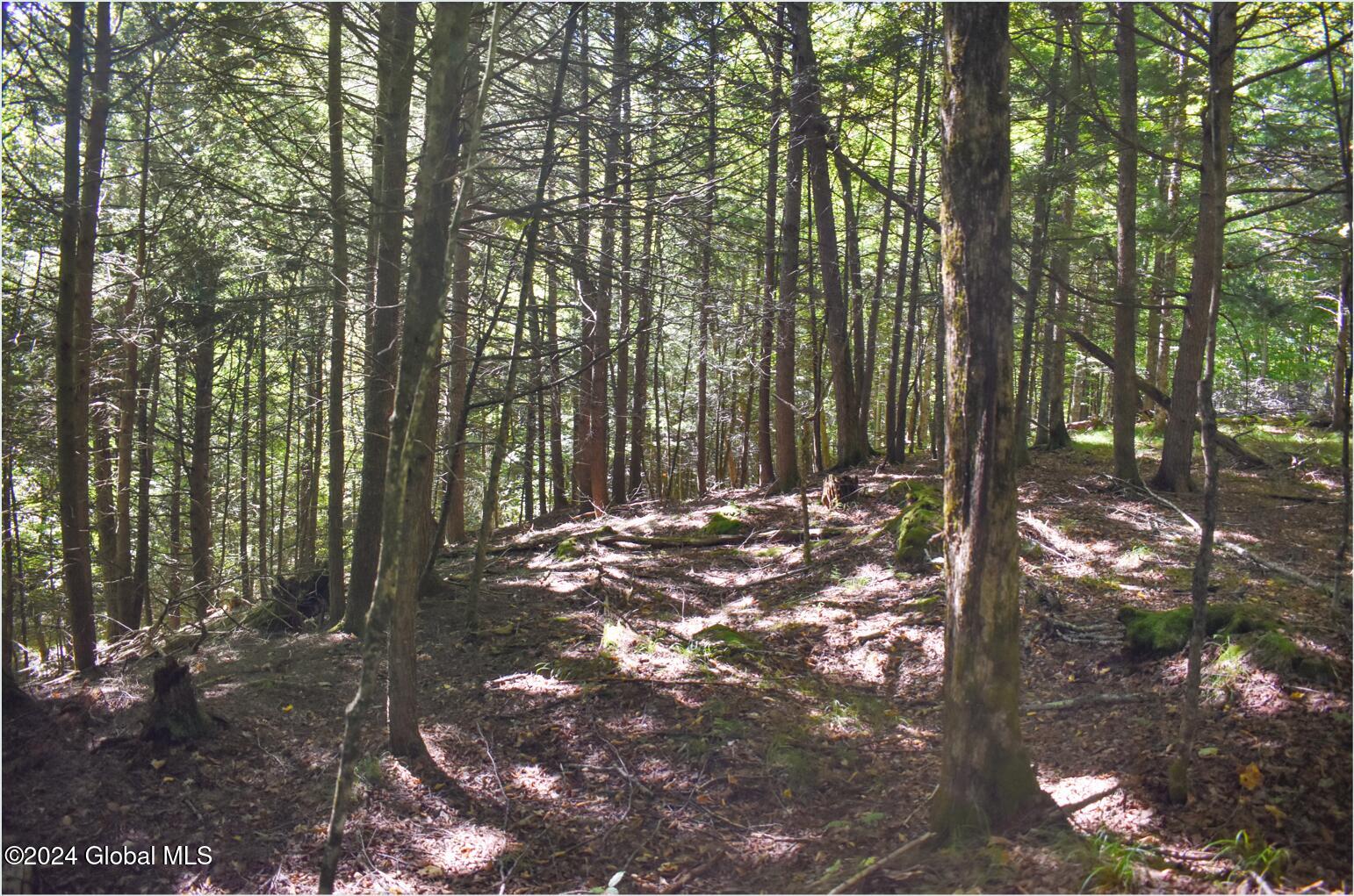 106 Carriage Knoll Road Chestertown, NY 12817 - Photo 7 of 25 106h