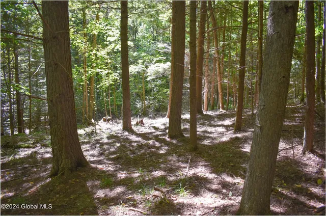 $78,900 | 106 Carriage Knoll Road, Chestertown, NY 12817