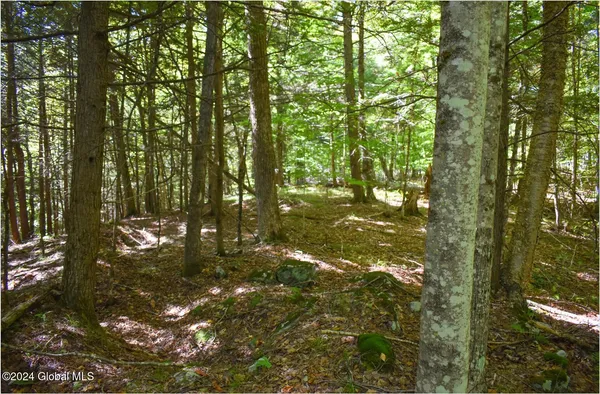 $78,900 | 106 Carriage Knoll Road, Chestertown, NY 12817