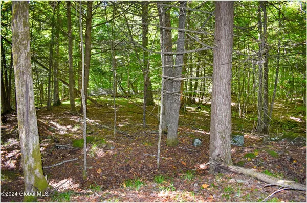 $78,900 | 106 Carriage Knoll Road, Chestertown, NY 12817