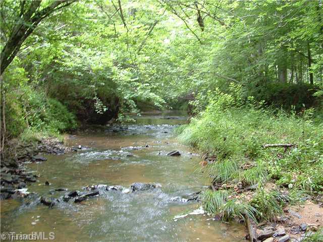 1016 Guerrant Springs Road Ruffin, NC 27326 - Photo 12 of 16 Other. Creek view in summer