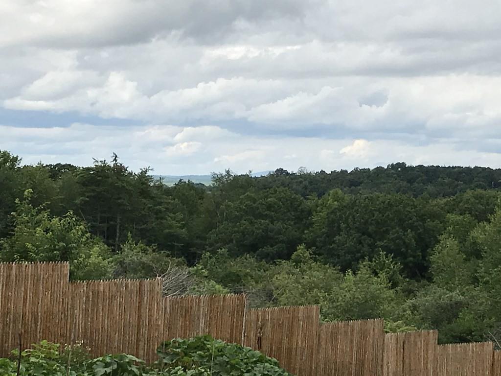 8 Dolbier Hill Road Templeton, MA 01468 - Photo 4 of 15 a view of a city and a forest