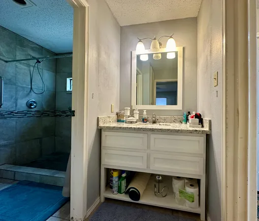 a bathroom with a sink mirror and a shower