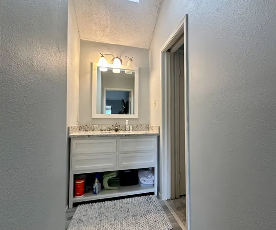 a bathroom with a sink and a mirror