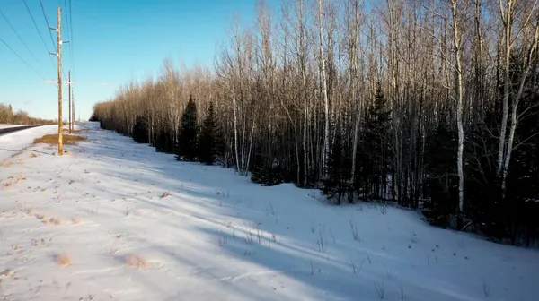 $38,900 | 18 Hwy 115 Tower Mn 55790, Tower, MN 55790