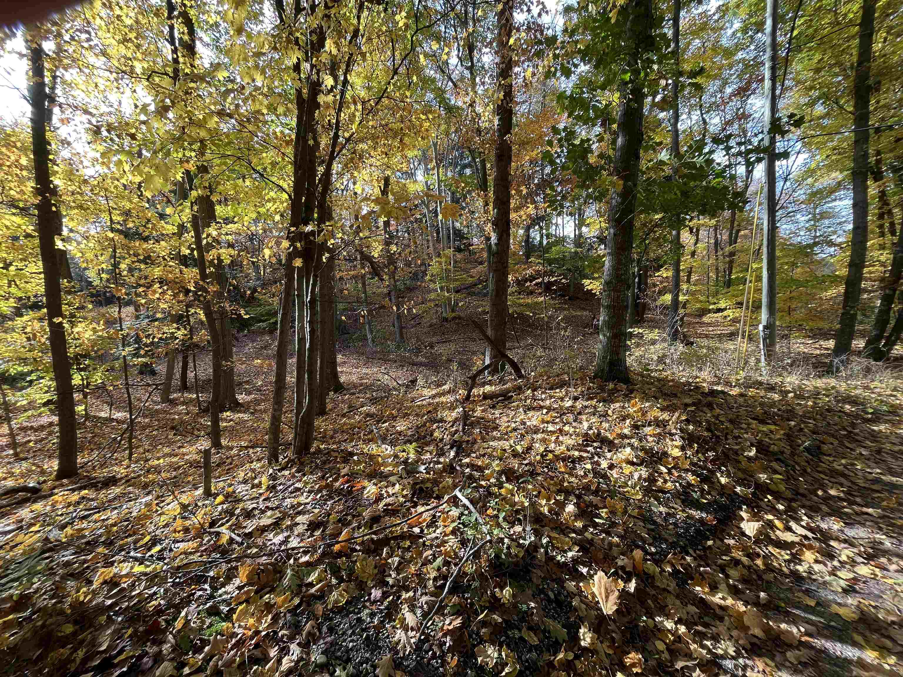 7 Beach Road Frankfort, MI 49635 - Photo 5 of 15