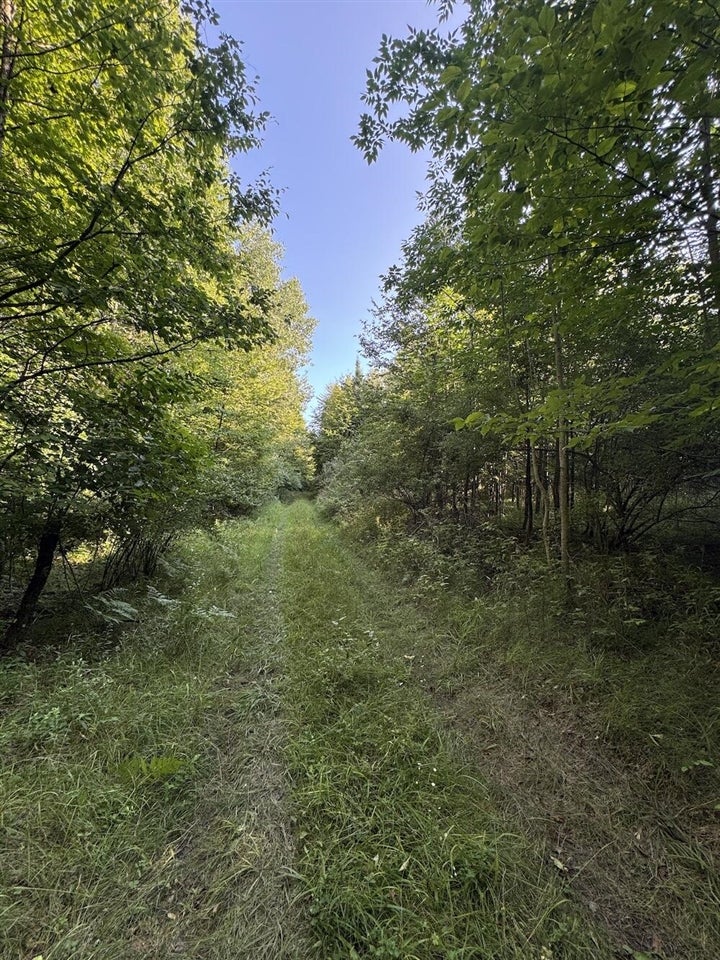 East Procunier Road Harrisville, MI 48740 - Photo 33 of 78 Gallery Image 33