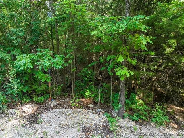 $27,500 | Lot #6 Great Oaks Drive, Camdenton, MO 65020
