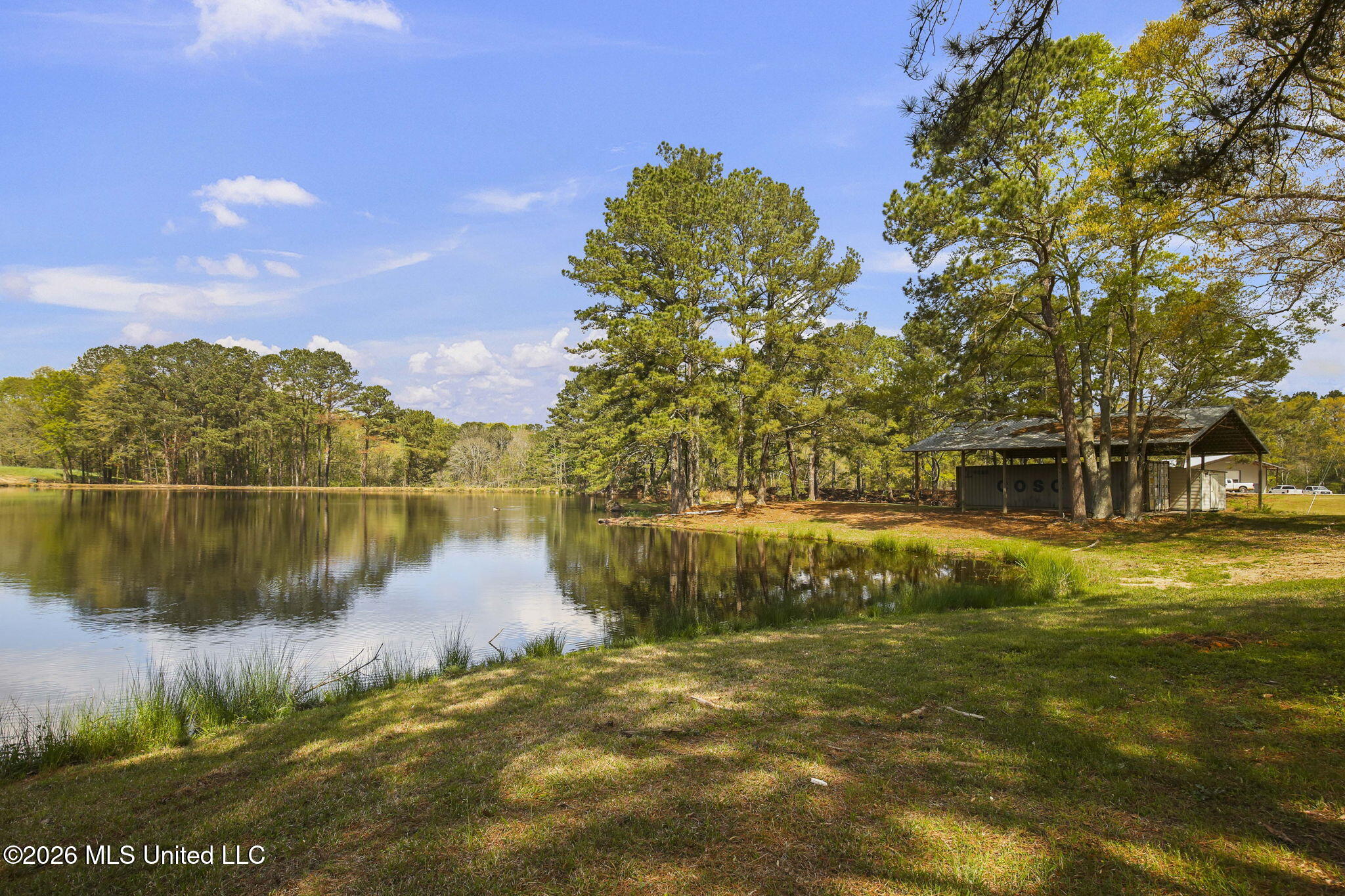 3079 Shiloh Road Pelahatchie, MS 39145 - Photo 51 of 81 51-web-or-mls-3079 Shiloh-51