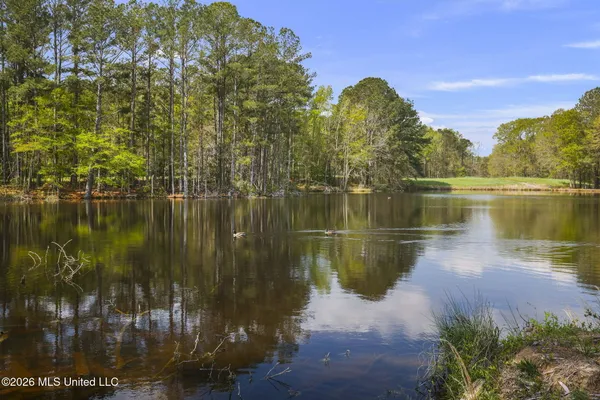$525,000 | 3079 Shiloh Road, Pelahatchie, MS 39145