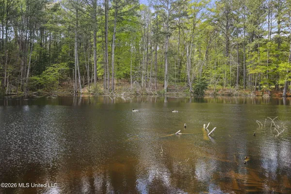 $525,000 | 3079 Shiloh Road, Pelahatchie, MS 39145
