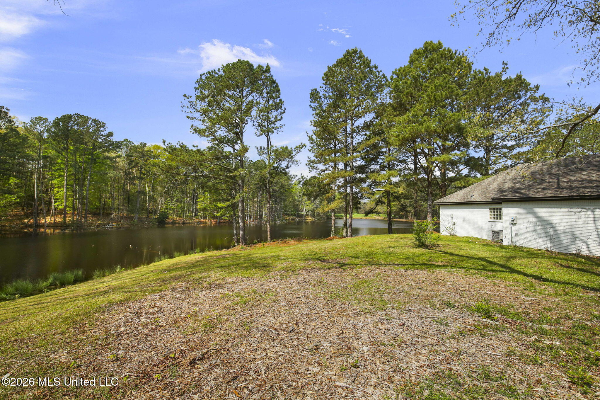 3079 Shiloh Road Pelahatchie, MS 39145 - Photo 7 of 81 7-web-or-mls-3079 Shiloh-7