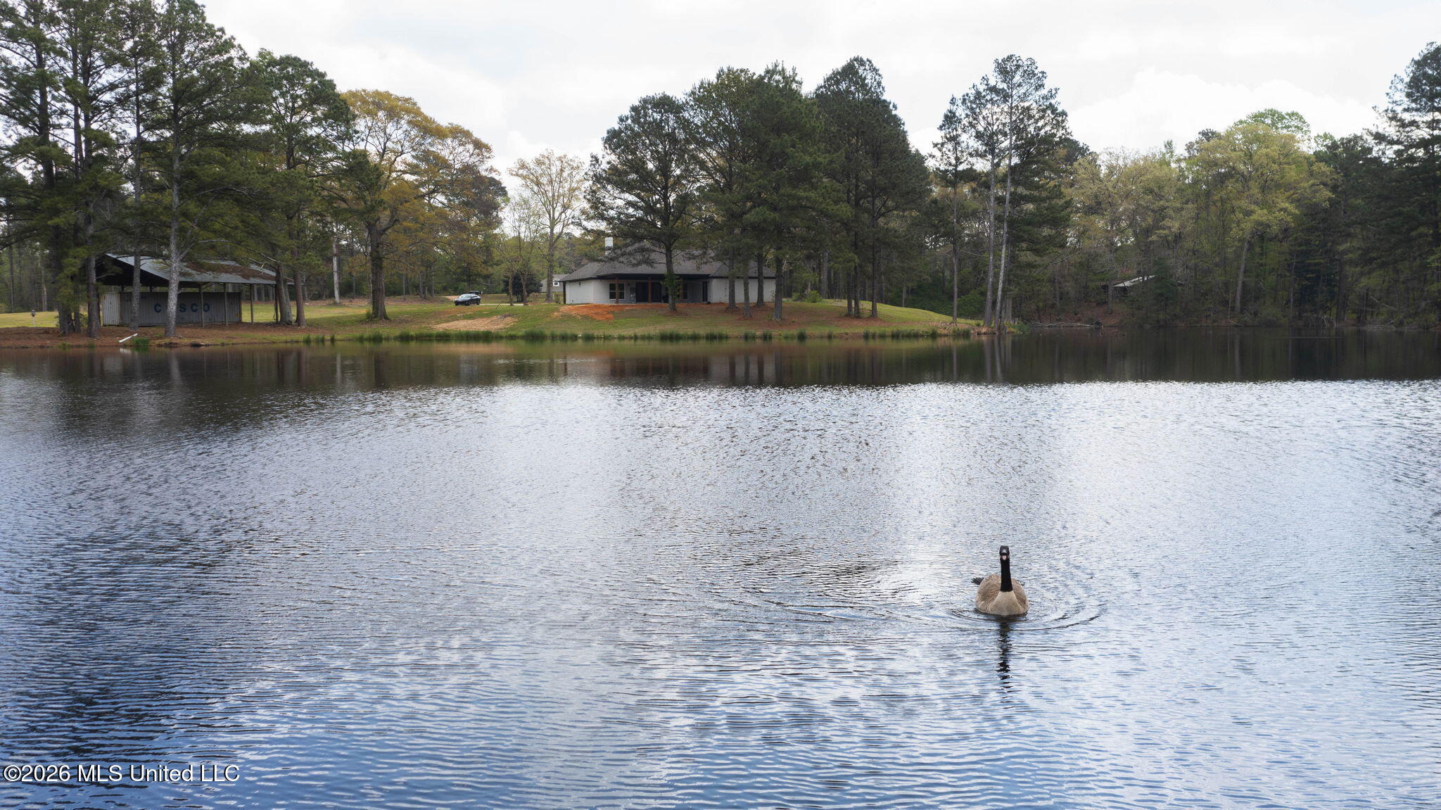 3079 Shiloh Road Pelahatchie, MS 39145 - Photo 76 of 81 76-web-or-mls-3079 Shiloh-70