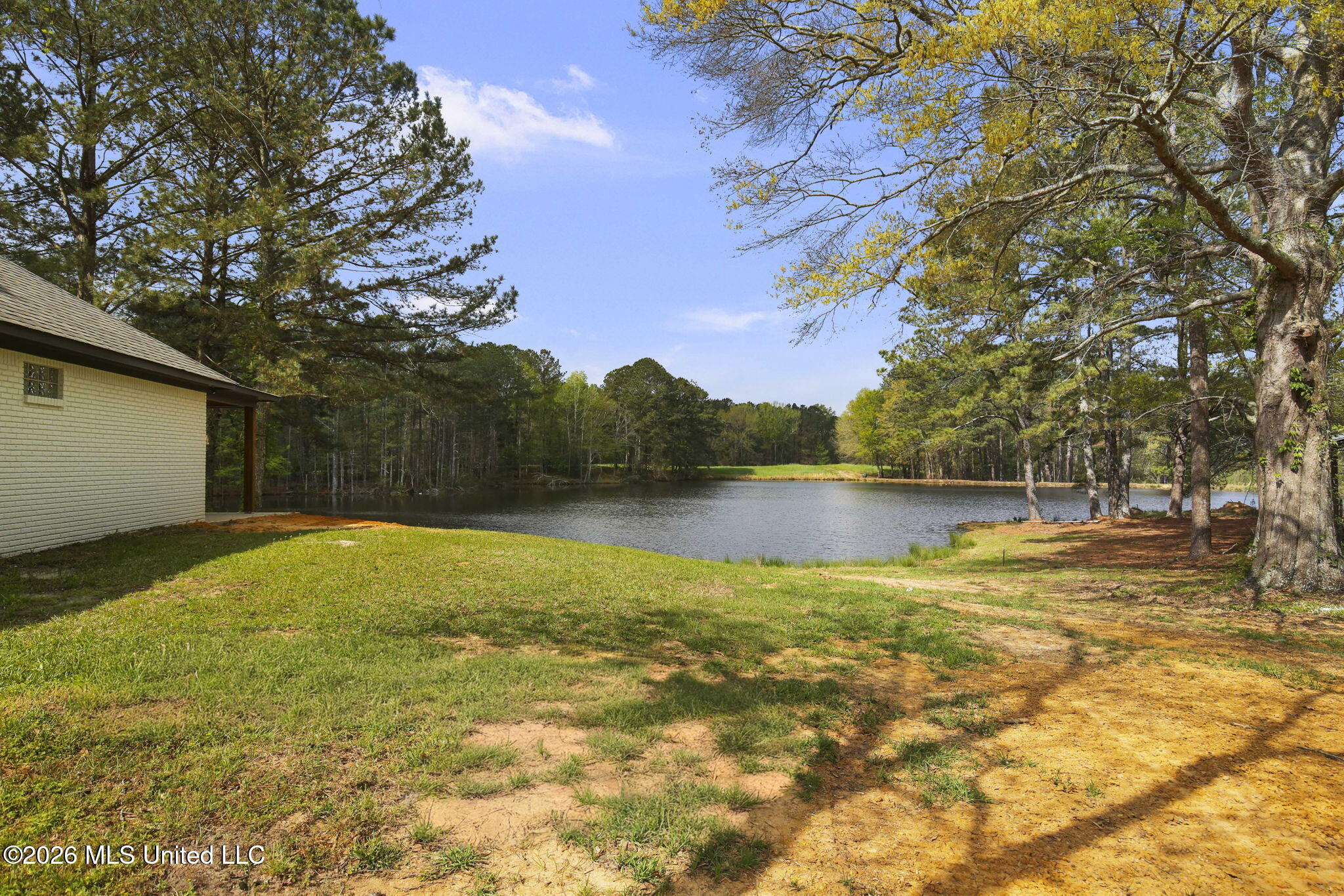 3079 Shiloh Road Pelahatchie, MS 39145 - Photo 9 of 81 9-web-or-mls-3079 Shiloh-9