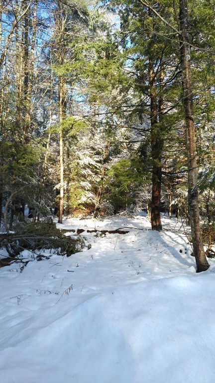 Lot 0 Mason Road Townsend, MA 01474 - Photo 3 of 8