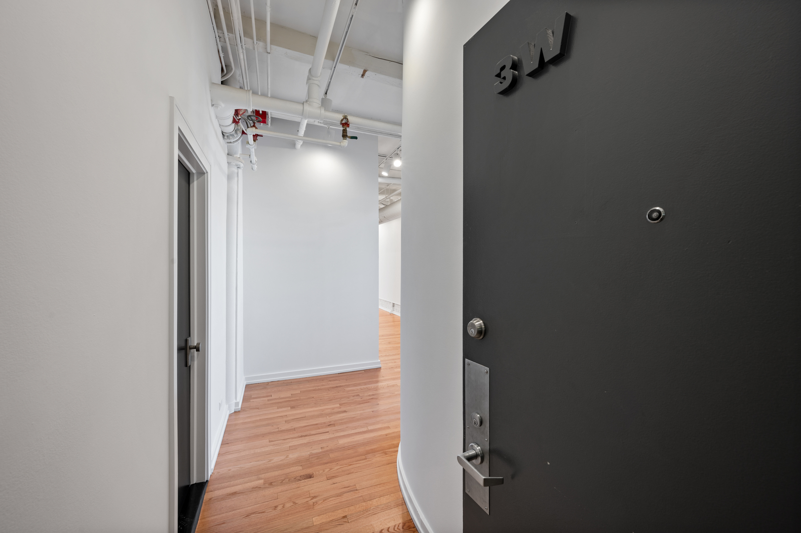 900 West Jackson Boulevard, Unit 3W Chicago, IL 60607 - Photo 4 of 38