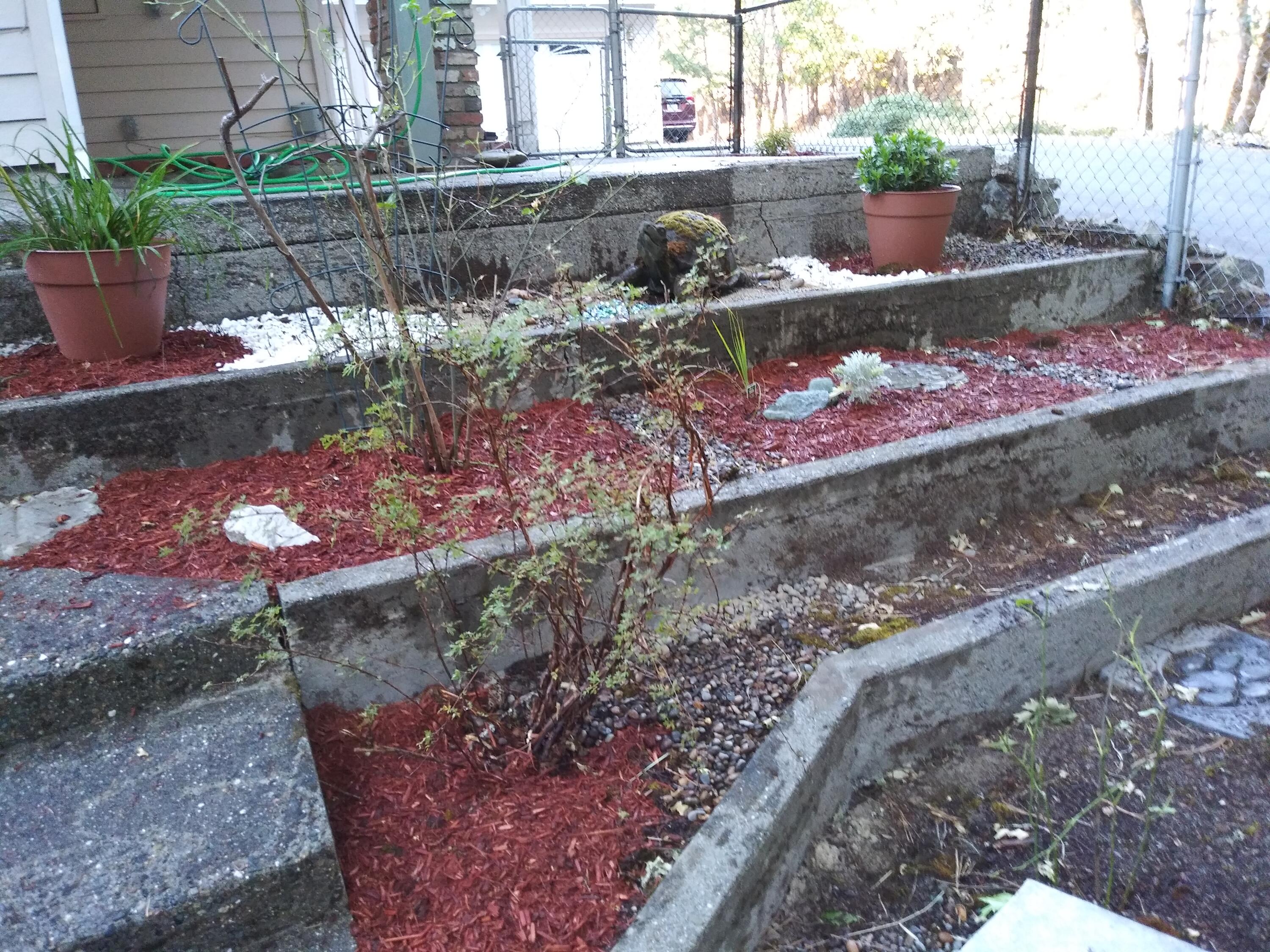 1004 Peco Road Grants Pass, OR 97526 - Photo 44 of 47 Terraced garden close up