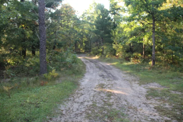 $175,000 | 568 Burke Circle, Baldwin, MI 49304